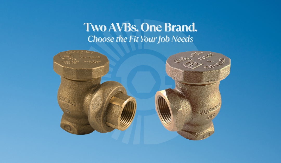 Champion 362 vs 262: When to Use the Union Outlet Backflow Preventer