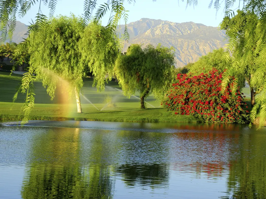 Champion is your trusted partner for quality irrigation products